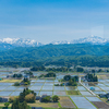 田んぼに水がはられた富山平野