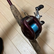 リール カテゴリーの記事一覧 - アナハゼ太郎のパックロッドと釣りと