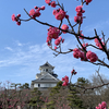 今日もよろしくお願いします。