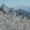 店長のひとこと「雪山へ行きたい・・・」