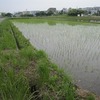 青田風働き人の影も見ず