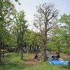 農業公園（東京都三鷹市）