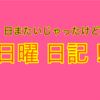 【日記】日曜日 日記！