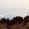 今朝の景色