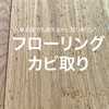 【無垢床でも傷めずにできる！】フローリングに生えたカビ取り