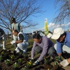 大好きいばらき週間中，ネットワーカーが各地で県民運動を実施しました。