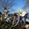 大好きいばらき週間中，ネットワーカーが各地で県民運動を実施しました。