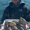 10/15釣果