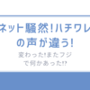 ネット騒然!ハチワレの声が違う!変わった!またフジで何かあった!?