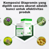 Diapromin Obat Indonesia - Diabetes Tipe 2 Terbalik Secara Alami! Harga