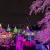 よみうりランド：恐竜アドベンチャー展ダイナソーメイズ＆夜桜ジュエルミネーション