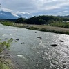 5月20日(月)荒川柳大橋の河川情報
