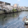 横浜の川を歩く14　大岡川③（下流域）