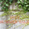 【2023 SUMMER SALE 】7/1 (sat) ~0:00 START！！