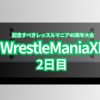 記念すべきレッスルマニア40周年大会　WrestleMania40「2日目」