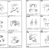 手話　形　意味　漢字　状態　特徴　動作　などで　表現　友達　道徳　どこ　なぜ　なるほど　しんぼう