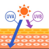 シワの原因は紫外線！？シミだけじゃない！紫外線の脅威！