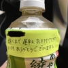 トヨタレンタリース千葉！
