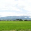 佐渡　雨も上がり