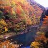 むかちんと秋田県へ旅行に、い紅葉🍁✨