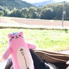 フィッティングを試してきた結果…！