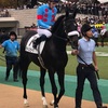 東京競馬5R メイクデビュー パドック直前予想 ◎7 モーソンピーク がんばれぇぇぇぇぇぇぇ！！！！