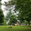 体内の“毒”を排除して健康を取り戻す