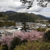 櫻花 Cherry blossom 7 #高知 #Kochi #spring #櫻花 #桜 #cherryblossom #sakura