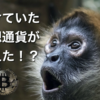 【仮想通貨】取引所が閉鎖してどうなる？ビットコインが消えた！？海外取引所の利用時の注意点！