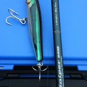ライザーベイト015p インプレッション 釣りバカに捧げる日記 喰らえ ハードルアー ライザーベイト015p インプレッション 釣りバカに捧げる日記 喰らえ ハードルアー