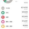 社会人15か月目の家計簿を振り返る