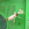 やっと食べた