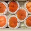 先日までに届いた果物＋長月第2週他