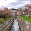 週末は滋賀へ！桜の名所