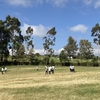 MAI A IHII HIGH SCHOOL 