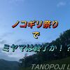 【北海道】ノコギリ祭りでミヤマは終わりか！？