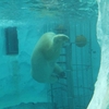 今年も楽しくコンプリート！　〜上野動物園その2