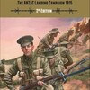 「ASSAULT ON GALLIPOLI」（HEXASIM）を対戦する【追記あり】