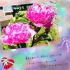 いつの間にかピンクのお花💐が*.+ﾟ可愛いね♥清水屋の生クリームぱん🍞