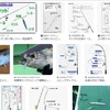 エビングとは。