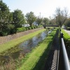 野川_貫井大橋～前原小学校（東京都小金井市）