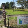 藤沢中央公園（埼玉県入間市）