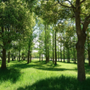 rubytomato's “Getting Started”