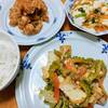 【日記】大きいゴーヤが3本で200円だったので、ゴーヤチャンプルーをたくさんつくってもりもり食べました