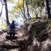 中山道歩く　碓氷峠越え２　　落葉の絨毯を踏んで・・
