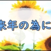 夏の畑の振り返りと来年に向けて花の種の収穫をしたい私の雑記