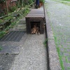 猫の町猴硐(ホウトン)・花蓮の東大門夜市