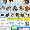 ビビビ