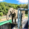 子供連れにかなりおすすめの無料で入れる動物園＆恐竜パーク『東岡崎公園』