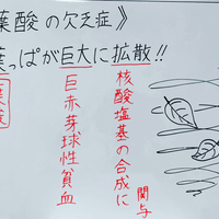 ナイアシン ニコチン酸 ニコチンアミド の欠乏症のゴロ 覚え方 薬学ゴロ 薬学部はゴロでイチコロ ナイアシン ニコチン酸 ニコチンアミド の欠乏症のゴロ 覚え方 薬学ゴロ 薬学部はゴロでイチコロ